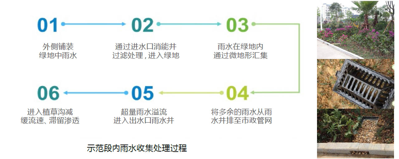 示范段內(nèi)雨水收集處理過程.jpg