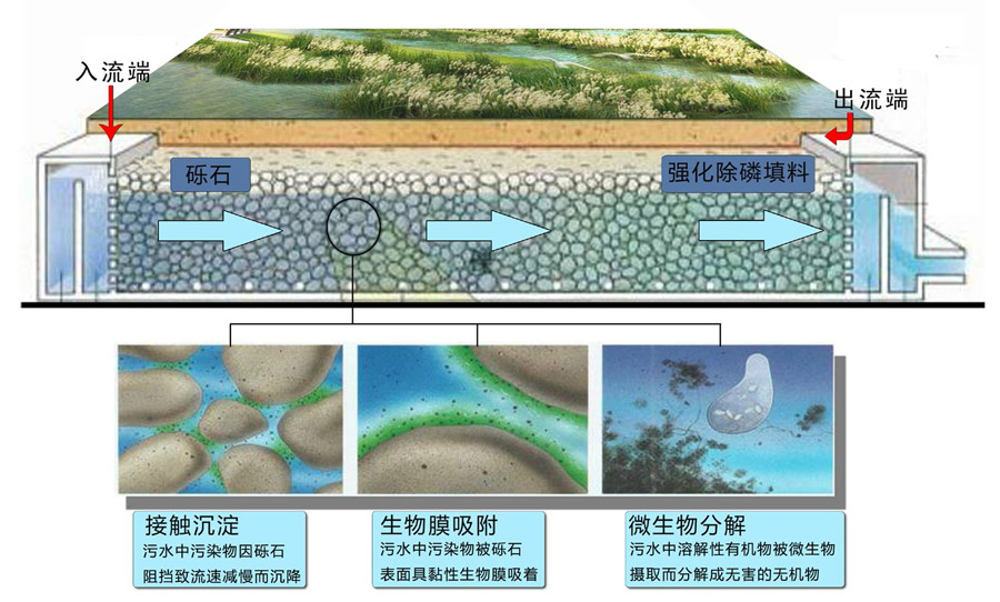 礫間接觸凈化技術(shù).jpg